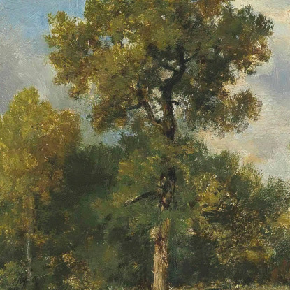 Lo Stagno Delle Vipere Narcisse-Virgile Diaz de La Peña nvd38 quadro stampato su tela