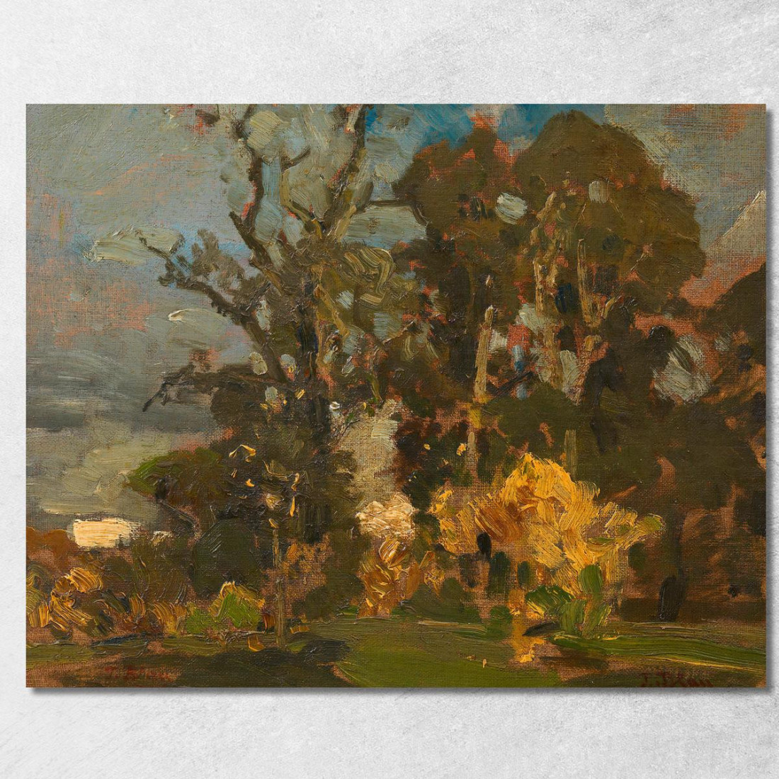 Prato Nel Bosco In Autunno Tina Blau tbl65 quadro stampato su tela Prato Nel Bosco In Autunno Tina Blau tbl65 quadro stampato su tela