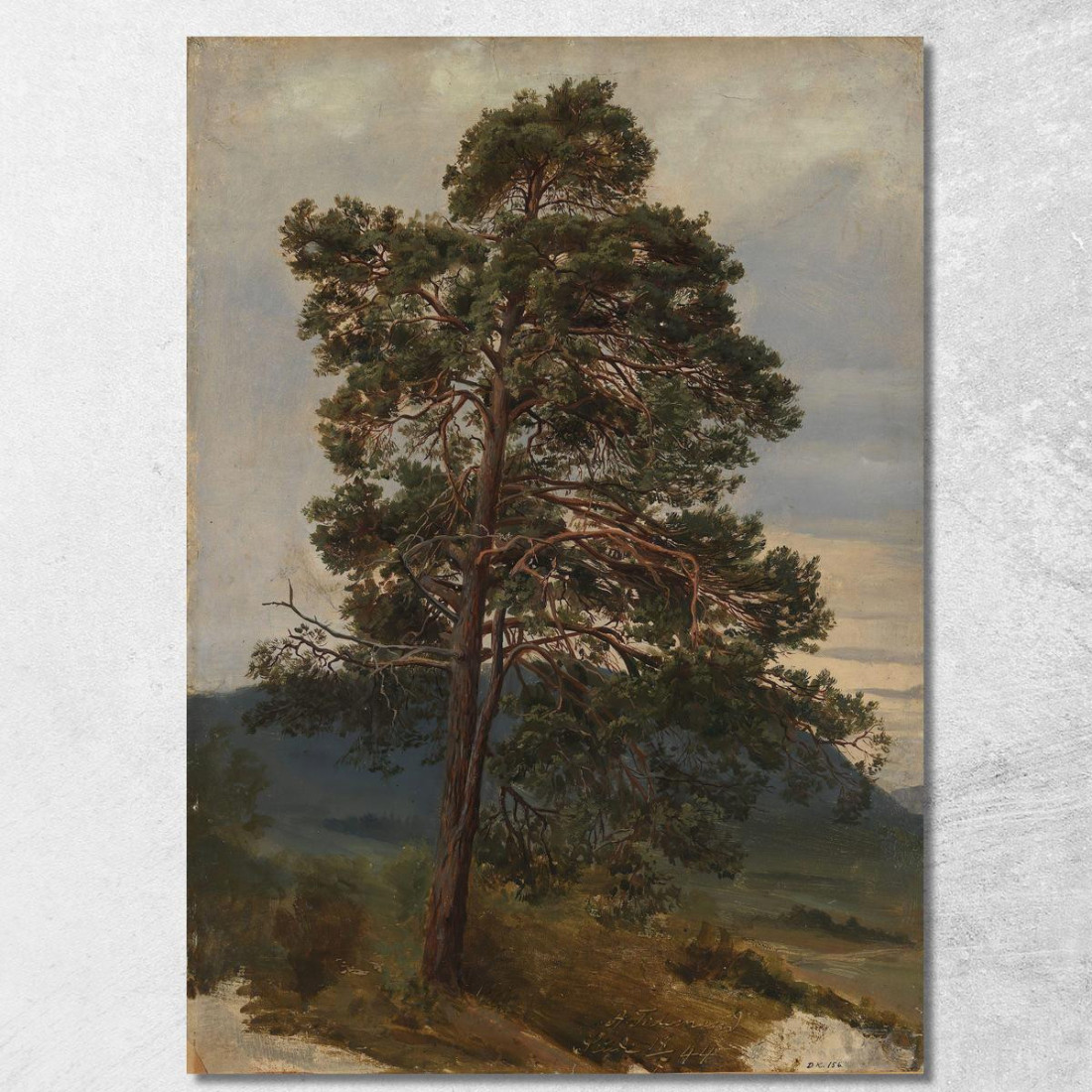 Studio Di Un Pino Adolph Tidemand atd77 quadro stampato su tela Studio Di Un Pino Adolph Tidemand atd77 quadro stampato su tela