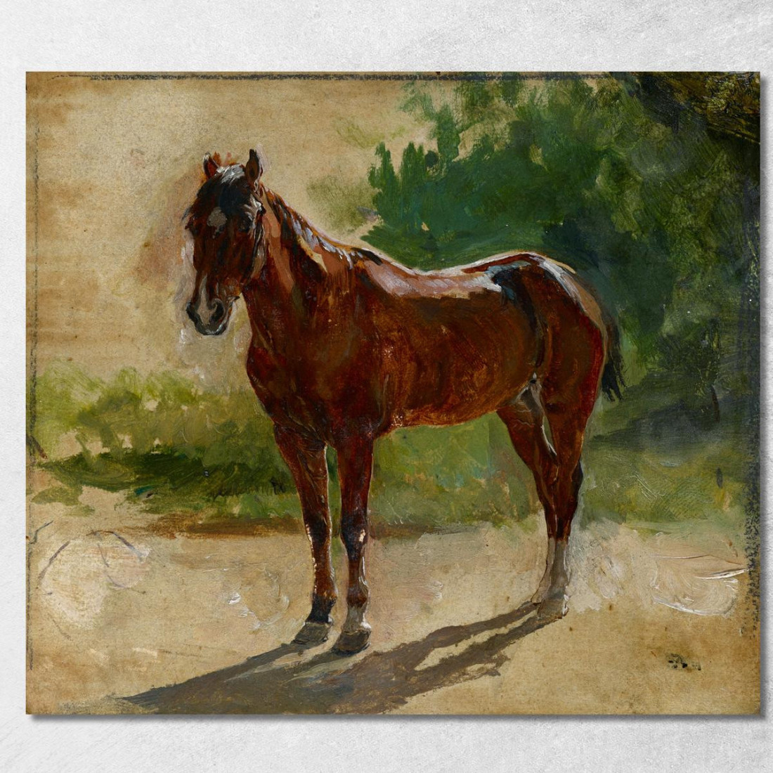 Studio Di Cavallo Marrone Ernest Meissonier ems12 quadro stampato su tela Studio Di Cavallo Marrone Ernest Meissonier ems12 quadro stampato su tela