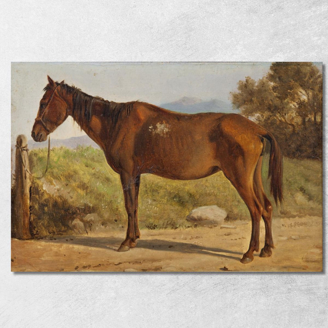 Rosinante. Studio Di Un Vecchio Cavallo In Piedi Wilhelm Marstrand wmr57 quadro stampato su tela Rosinante. Studio Di Un Vecchio Cavallo In Piedi Wilhelm Marstrand wmr57 quadro stampato su tela