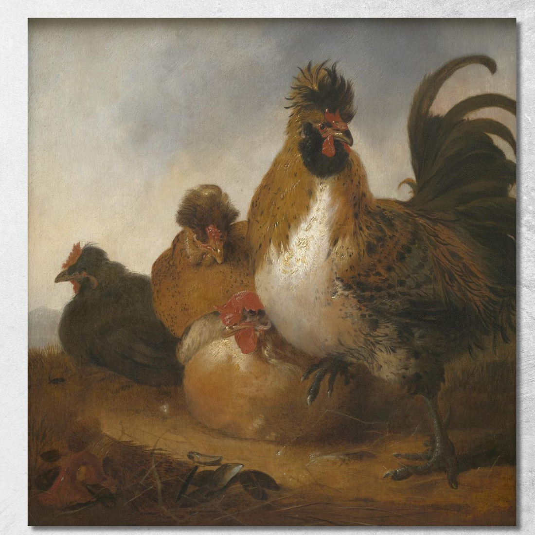 Gallo E Galline Aelbert Cuyp acu42 quadro stampato su tela Gallo E Galline Aelbert Cuyp acu42 quadro stampato su tela