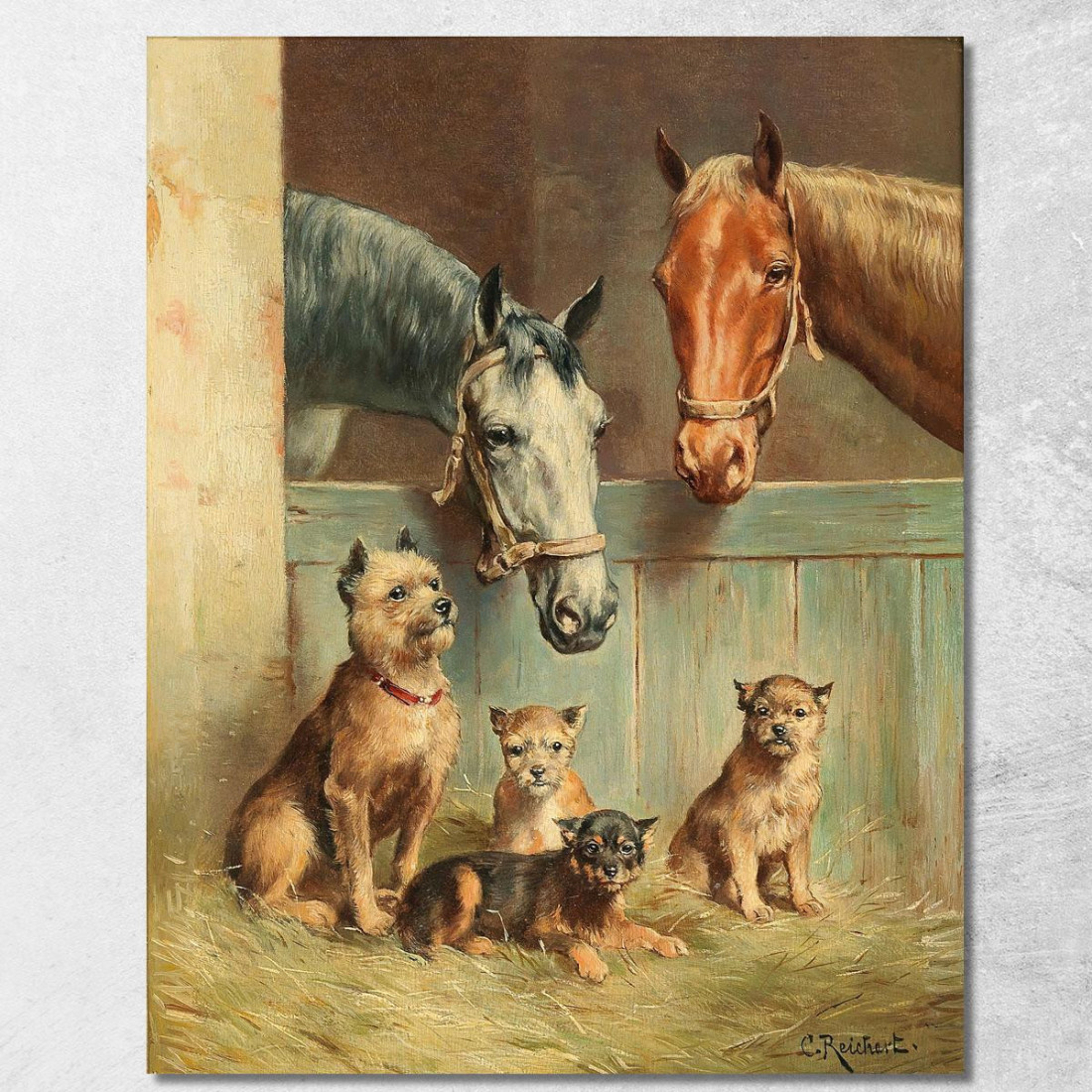 Amicizia Tra Animali Carl Reichert crc11 quadro stampato su tela Amicizia Tra Animali Carl Reichert crc11 quadro stampato su tela