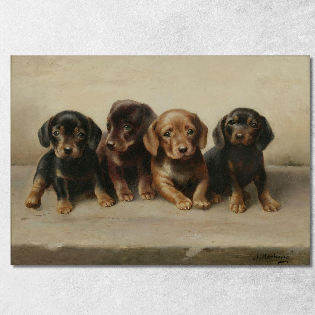 Quattro Cuccioli Di Bassotto Carl Reichert crc24 quadro stampato su tela Quattro Cuccioli Di Bassotto Carl Reichert crc24 quadro stampato su tela