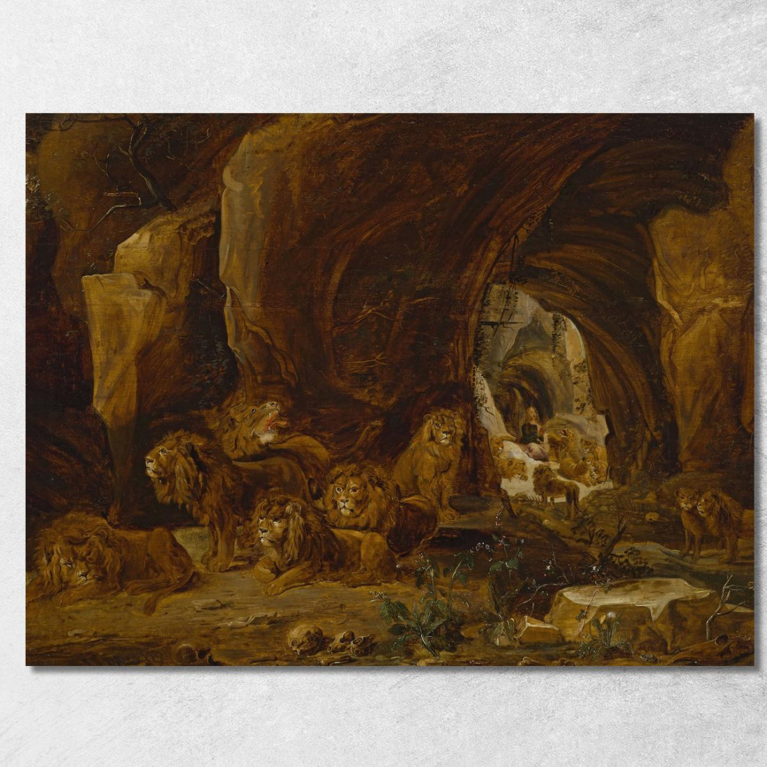 Daniele Nella Fossa Dei Leoni David Teniers The Younger dty33 quadro stampato su tela Daniele Nella Fossa Dei Leoni David Teniers The Younger dty33 quadro stampato su tela