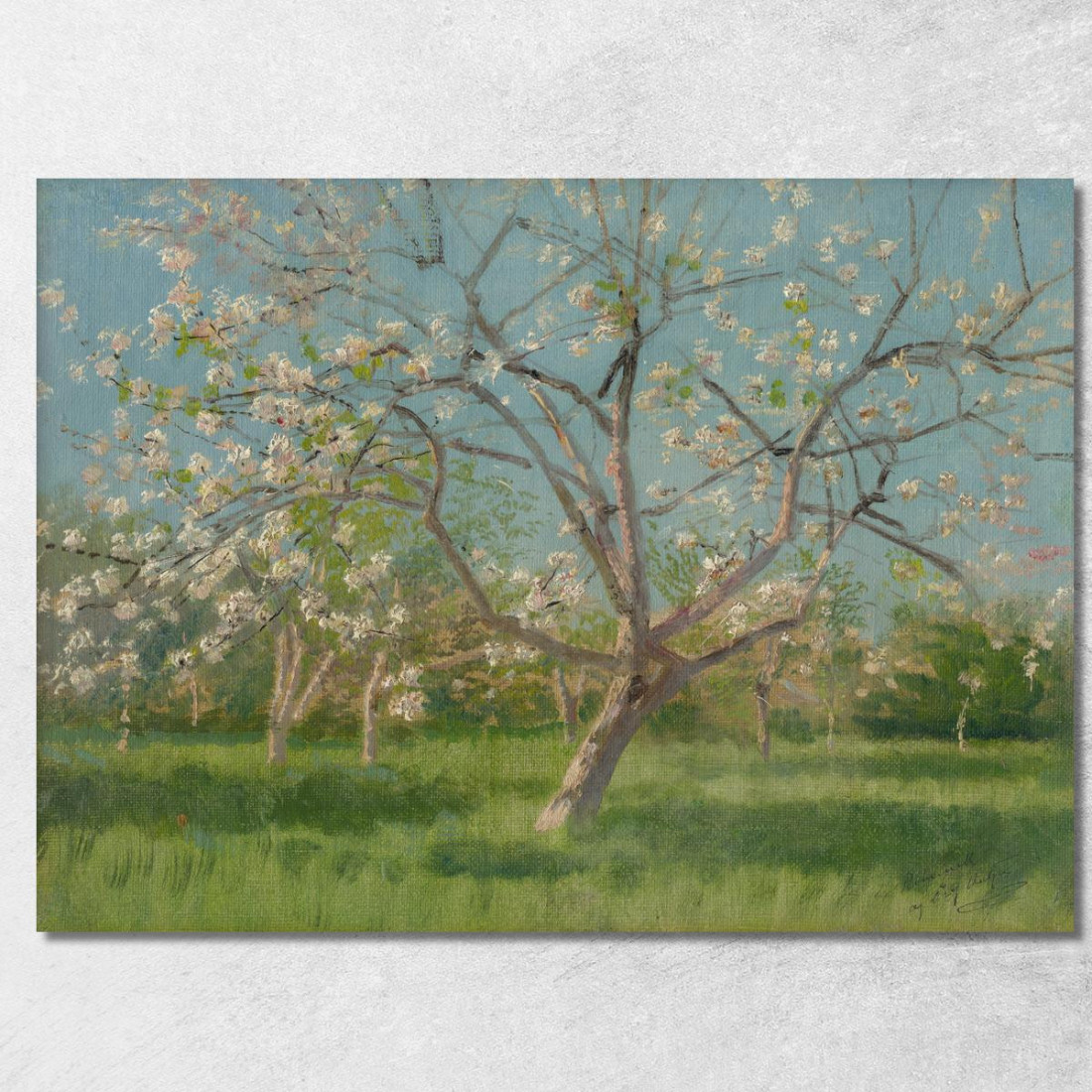 Studio Di Alberi In Fiore In Un Frutteto Ladislav Mednyánszky lmd58 quadro stampato su tela Studio Di Alberi In Fiore In Un Frutteto Ladislav Mednyánszky lmd58 quadro stampato su tela