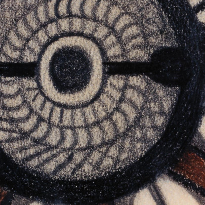 Sala Del Consiglio Di Skt. Adolf Presso Berna Adolf Wölfli awl35 quadro stampato su tela