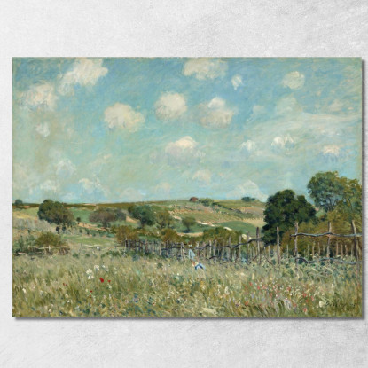 Prato Alfred Sisley asi57 quadro stampato su tela