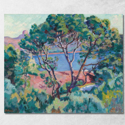 La Baia Di Agay Armand Guillaumin agl23 quadro stampato su tela