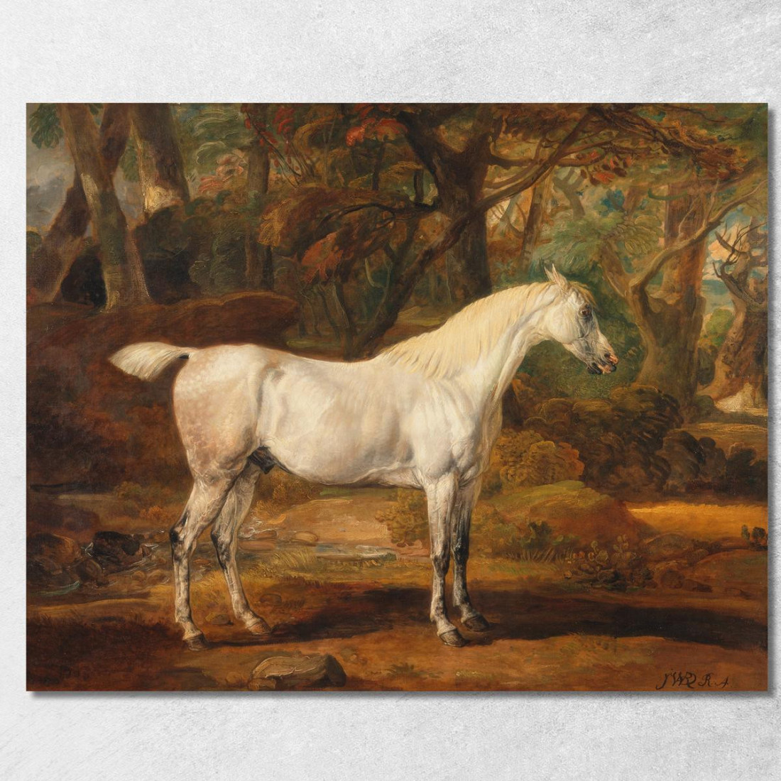 Stallone Arabo Grigio Di Proprietà Di Sir Watkin Williams-Wynn James Ward jwr18 quadro stampato su tela Stallone Arabo Grigio Di Proprietà Di Sir Watkin Williams-Wynn James Ward jwr18 quadro stampato su tela