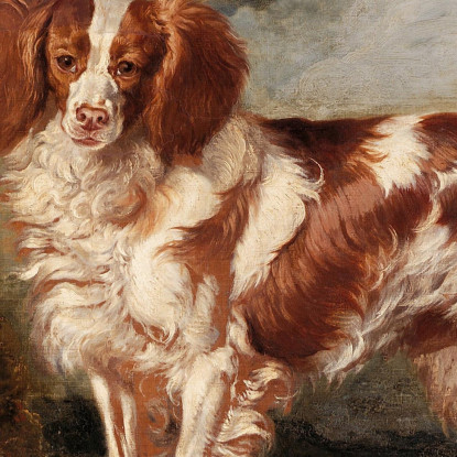 Ritratto Di Dash Uno Spaniel Preferito Di Proprietà Di Lady Frances Vane-Tempest James Ward jwr27 quadro stampato su tela