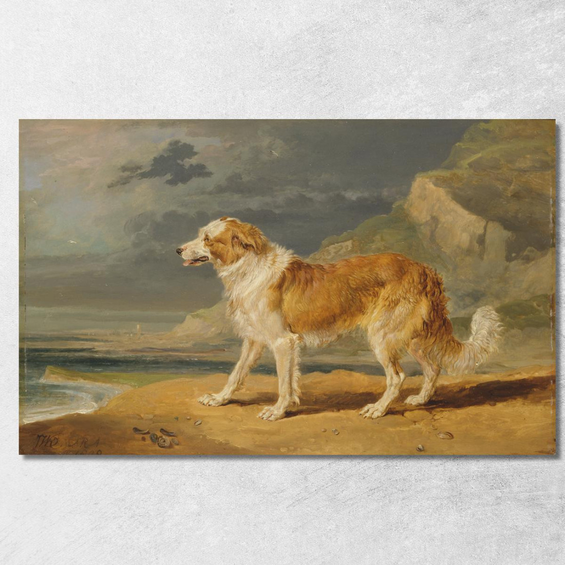 Collie A Pelo Ruvido James Ward jwr31 quadro stampato su tela Collie A Pelo Ruvido James Ward jwr31 quadro stampato su tela