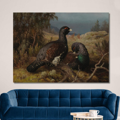 Maschi Di Gallo Cedrone Ferdinand von Wright fvw6 quadro stampato su tela