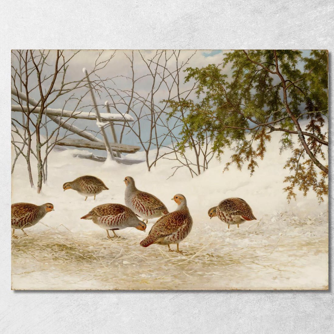 Pernici Nella Neve Ferdinand von Wright fvw21 quadro stampato su tela Pernici Nella Neve Ferdinand von Wright fvw21 quadro stampato su tela