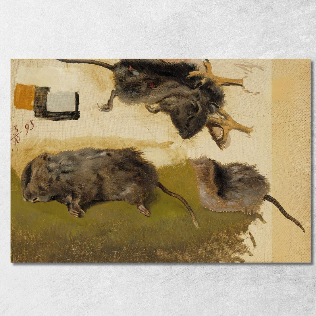 Roditori Ferdinand von Wright fvw23 quadro stampato su tela Roditori Ferdinand von Wright fvw23 quadro stampato su tela