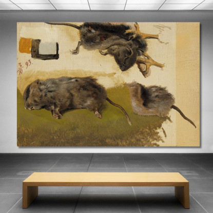Roditori Ferdinand von Wright fvw23 quadro stampato su tela