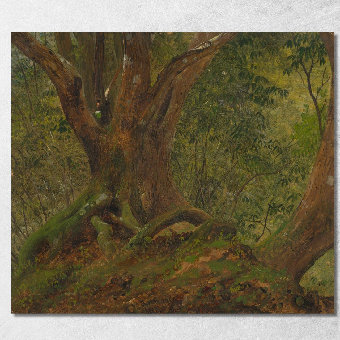 Nel Bosco Giamaica Frederic Edwin Church fec24 quadro stampato su tela Nel Bosco Giamaica Frederic Edwin Church fec24 quadro stampato su tela