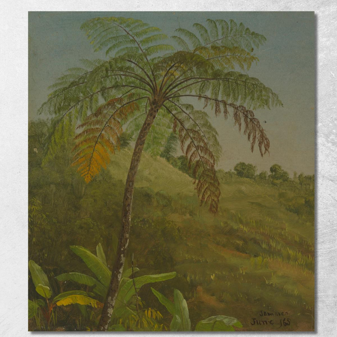 Palma Giamaica Frederic Edwin Church fec66 quadro stampato su tela Palma Giamaica Frederic Edwin Church fec66 quadro stampato su tela