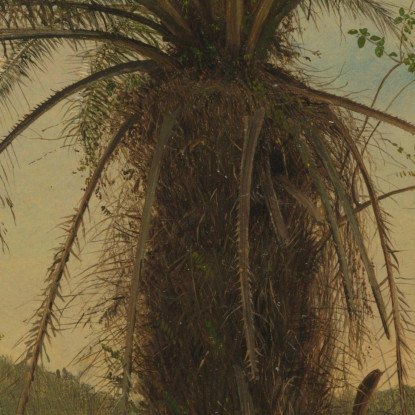 Felce Arborea Giamaica Frederic Edwin Church fec110 quadro stampato su tela