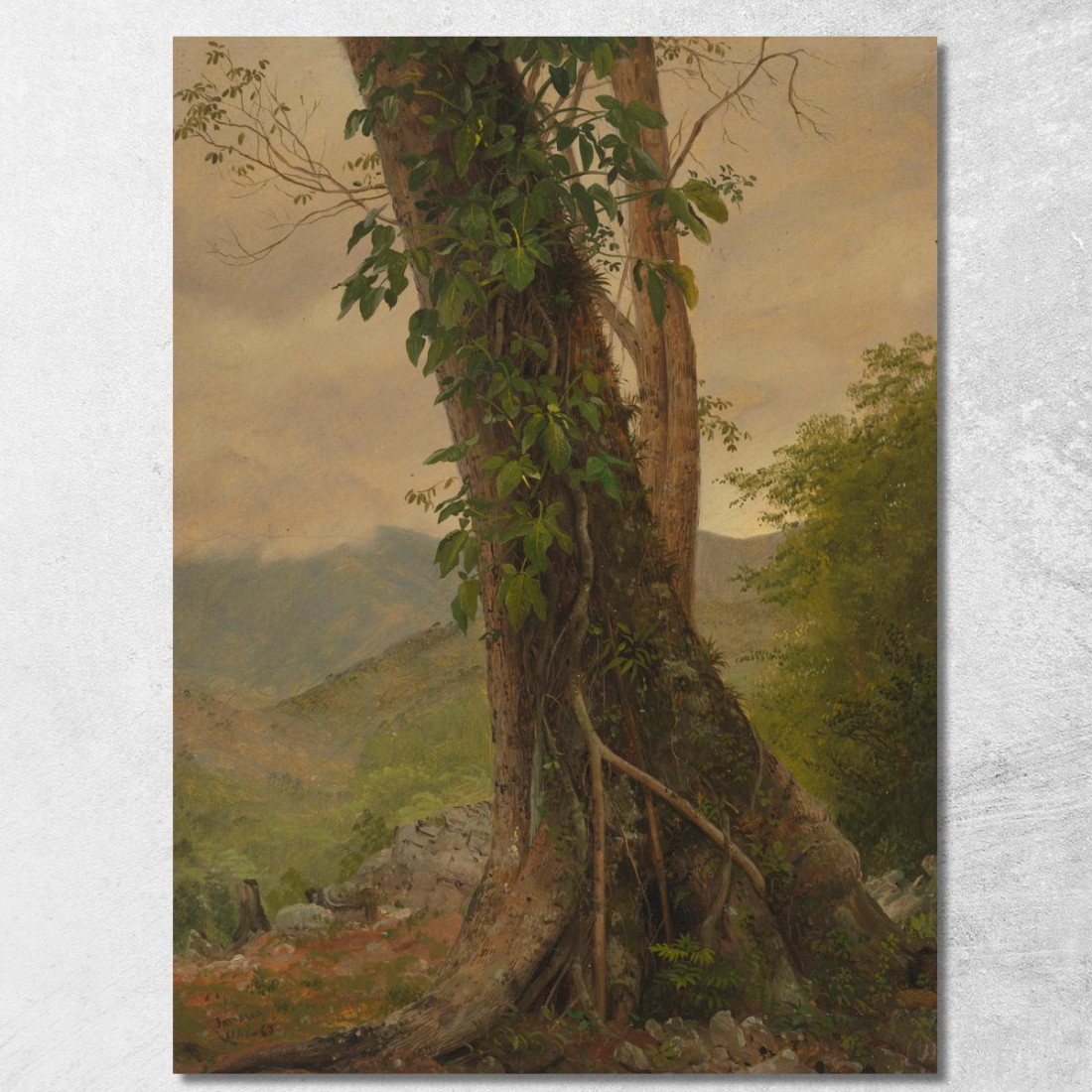Albero Con Viti Giamaica Indie Occidentali Frederic Edwin Church fec111 quadro stampato su tela Albero Con Viti Giamaica Indie Occidentali Frederic Edwin Church fec111 quadro stampato su tela