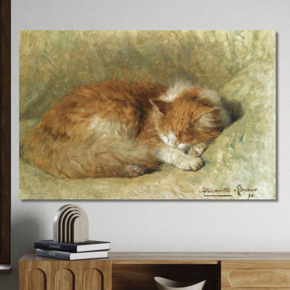 Un Gatto Che Dorme Henriëtte Ronner-Knip hrk4 quadro stampato su tela
