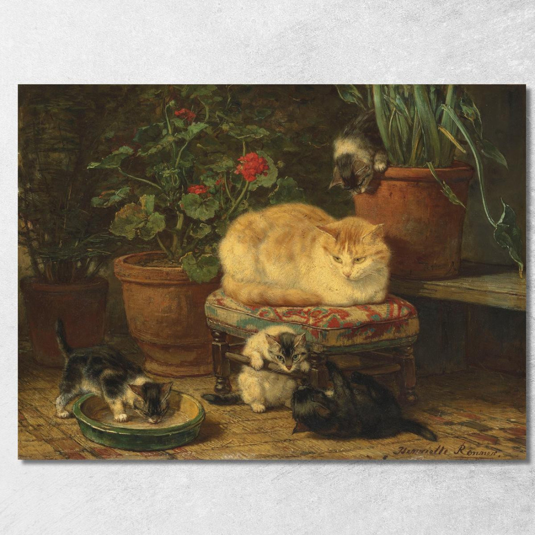 Gattini Che Giocano 3 Henriëtte Ronner-Knip hrk11 quadro stampato su tela