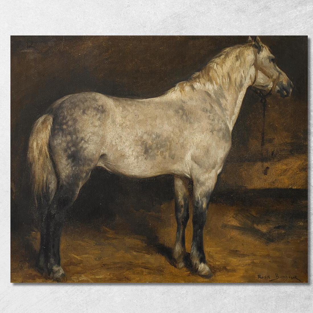 Un Cavallo Grigio Pomellato Rosa Bonheur rbn1 quadro stampato su tela Un Cavallo Grigio Pomellato Rosa Bonheur rbn1 quadro stampato su tela