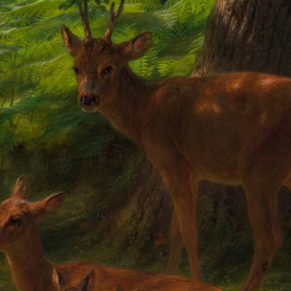 Cervi A Riposo Rosa Bonheur rbn14 quadro stampato su tela