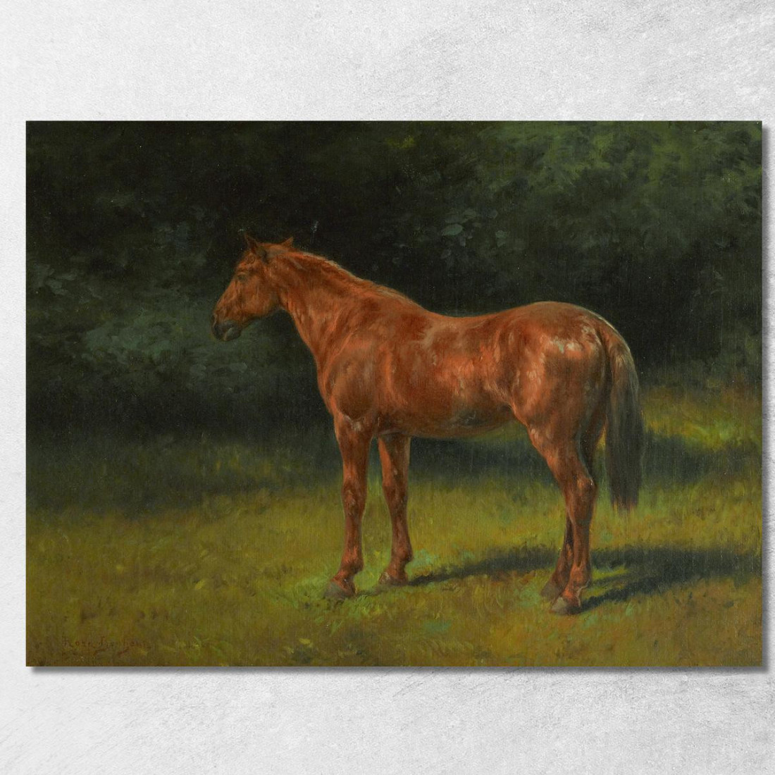 L'Oseille Rouge Rosa Bonheur rbn30 quadro stampato su tela L'Oseille Rouge Rosa Bonheur rbn30 quadro stampato su tela