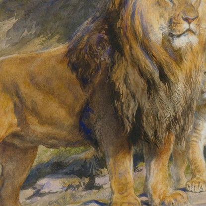 Il Re Osserva Rosa Bonheur rbn48 quadro stampato su tela
