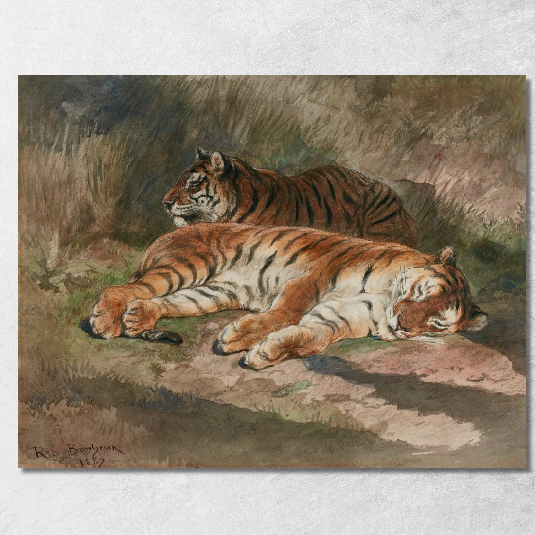 Due Tigri Sdraiate Rosa Bonheur rbn60 quadro stampato su tela Due Tigri Sdraiate Rosa Bonheur rbn60 quadro stampato su tela