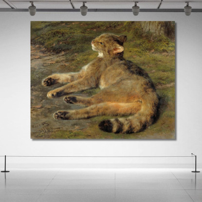 Gatto Selvatico Rosa Bonheur rbn66 quadro stampato su tela