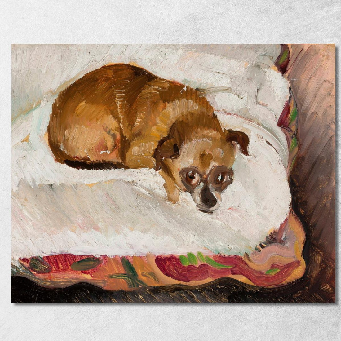 Cane Sdraiato 2 Zygmunt Waliszewski zwl27 quadro stampato su tela Cane Sdraiato 2 Zygmunt Waliszewski zwl27 quadro stampato su tela