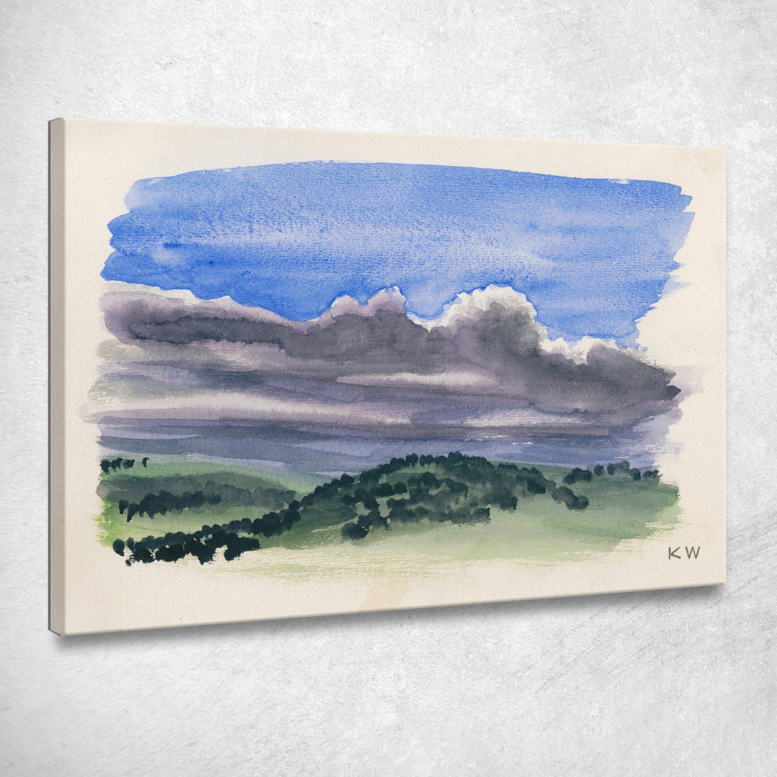 Studio Sulla Natura X Karl Wiener kwn384 quadro stampato su tela Studio Sulla Natura X Karl Wiener kwn384 quadro stampato su tela