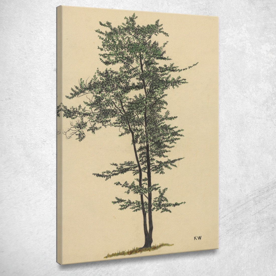Albero Deciduo Senza Titolo 2 Karl Wiener kwn557 quadro stampato su tela Albero Deciduo Senza Titolo 2 Karl Wiener kwn557 quadro stampato su tela