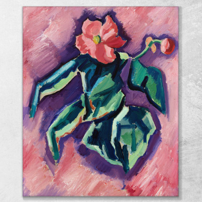 Begonie Rosa Marsden Hartley mhr26 quadro stampato su tela