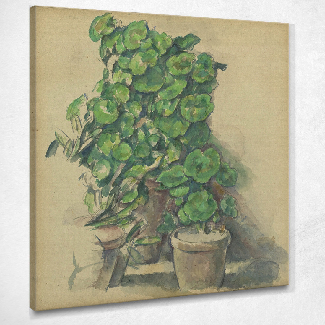Gerani Paul Cézanne pcz28 quadro stampato su tela Gerani Paul Cézanne pcz28 quadro stampato su tela