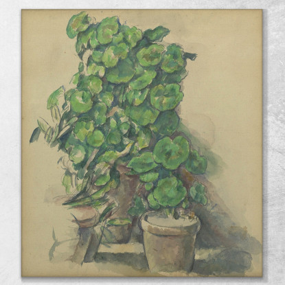 Gerani Paul Cézanne pcz28 quadro stampato su tela