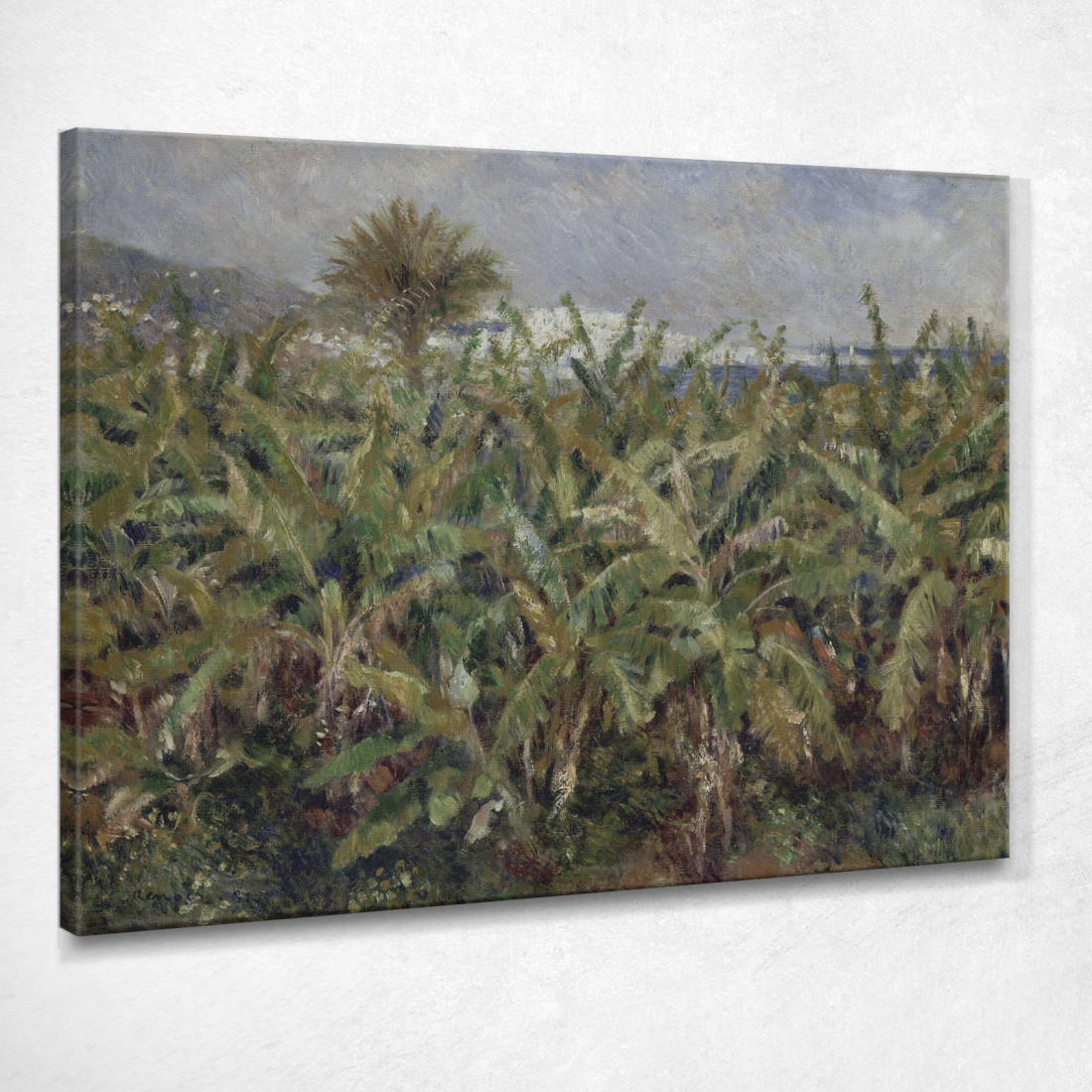 Campo Di Banani Pierre-Auguste Renoir par120 quadro stampato su tela Campo Di Banani Pierre-Auguste Renoir par120 quadro stampato su tela