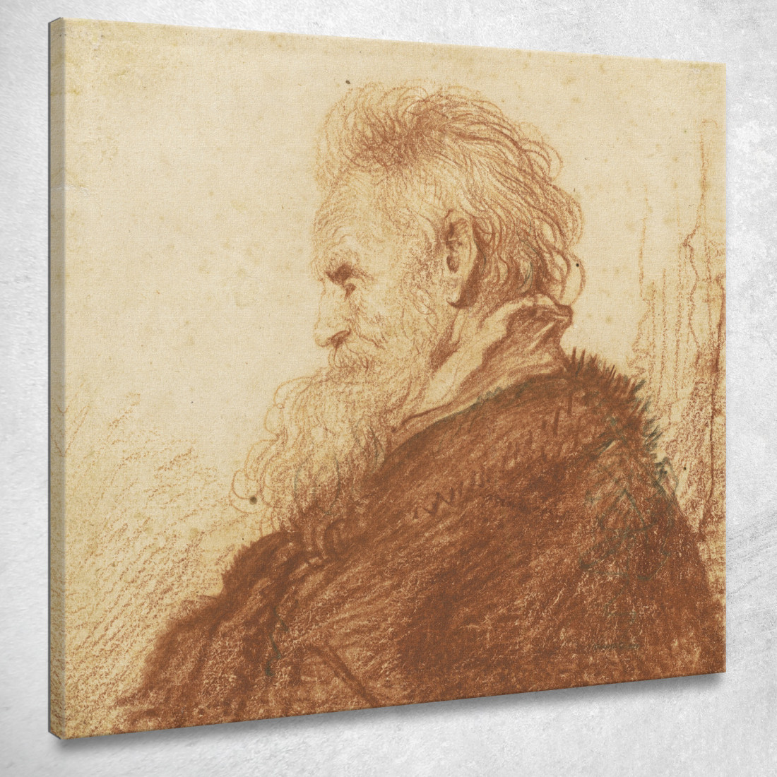 Testa Di Vecchio Recto Rembrandt van Rijn rvr59 quadro stampato su tela Testa Di Vecchio Recto Rembrandt van Rijn rvr59 quadro stampato su tela