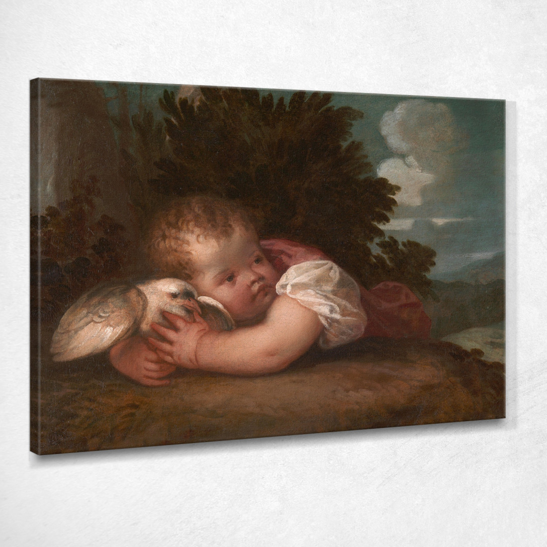 Un Ragazzo Con Un Uccello Titian Tiziano Vecellio ttn1 quadro stampato su tela Un Ragazzo Con Un Uccello Titian Tiziano Vecellio ttn1 quadro stampato su tela