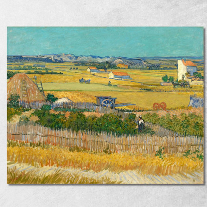 Il Raccolto Vincent van Gogh vvg3 quadro stampato su tela