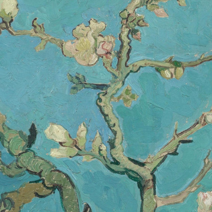 Fiori Di Mandorlo Vincent van Gogh vvg16 quadro stampato su tela