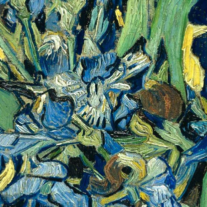 Iris Vincent van Gogh vvg27 quadro stampato su tela