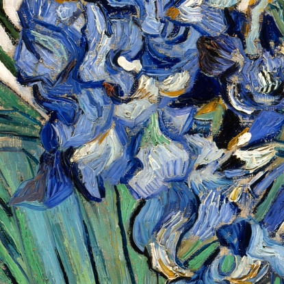 Iride 1890 Vincent van Gogh vvg50 quadro stampato su tela