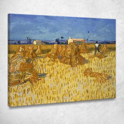 Raccolto In Provenza Vincent van Gogh vvg56 quadro stampato su tela