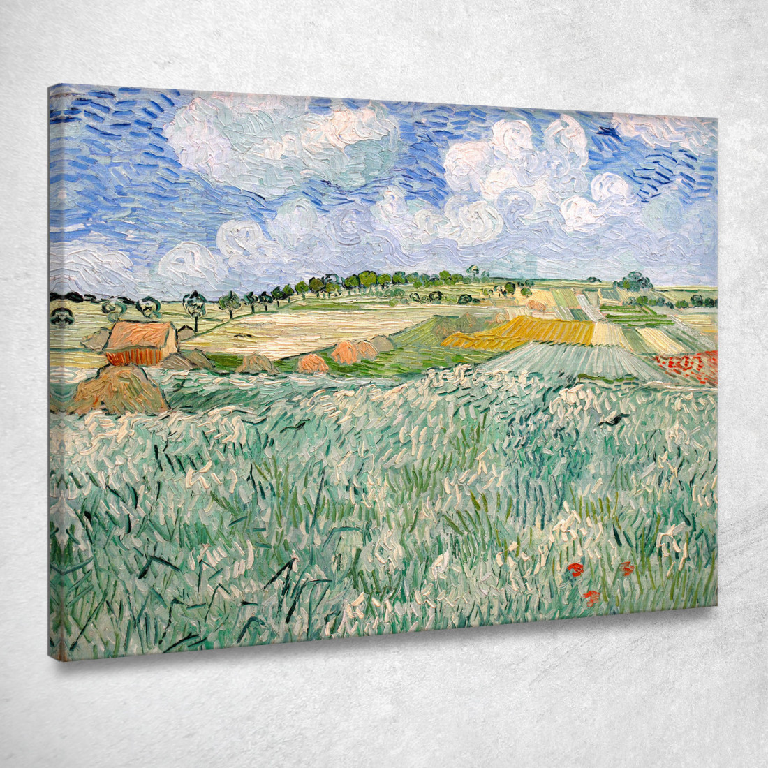 Pianura Vicino Ad Auvers Vincent van Gogh vvg71 quadro stampato su tela