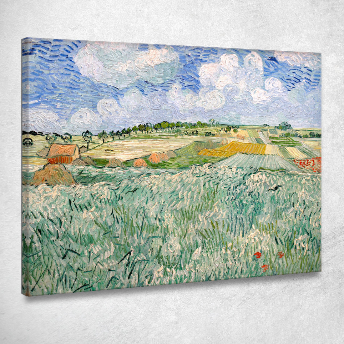 Pianura Vicino Ad Auvers Vincent van Gogh vvg71 quadro stampato su tela Pianura Vicino Ad Auvers Vincent van Gogh vvg71 quadro stampato su tela