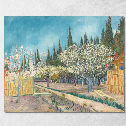 Frutteto In Fiore Delimitato Da Cipressi Vincent van Gogh vvg76 quadro stampato su tela