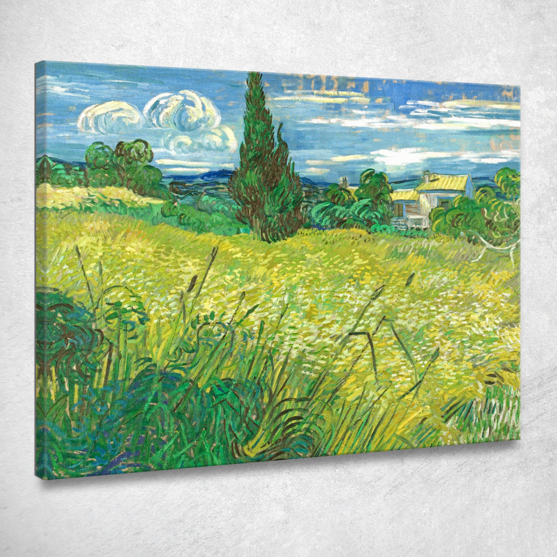 Campo Di Grano Verde Con Cipresso Vincent van Gogh vvg95 quadro stampato su tela Campo Di Grano Verde Con Cipresso Vincent van Gogh vvg95 quadro stampato su tela
